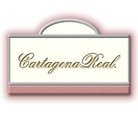 Cartagena Real Condominium Logo Design & Website Design